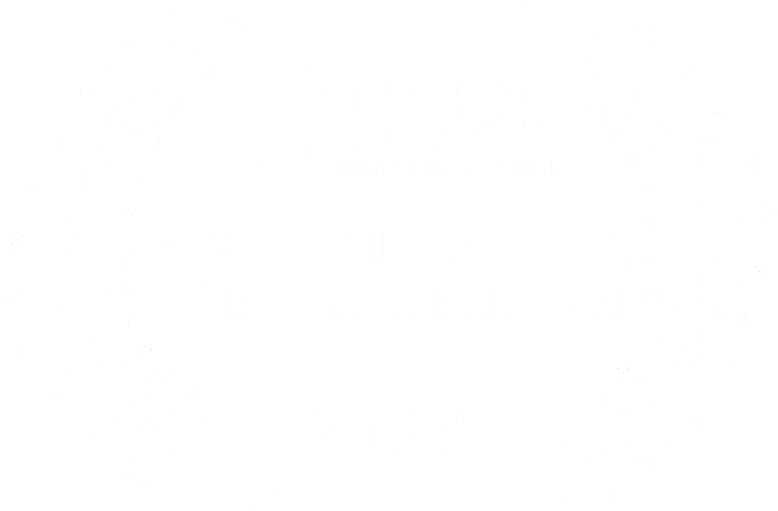 TNFF 2025 – Hovedjuryens Special Mention